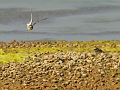 10 09 15_7713_edited-1